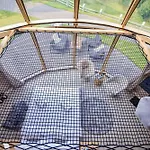Glamping *